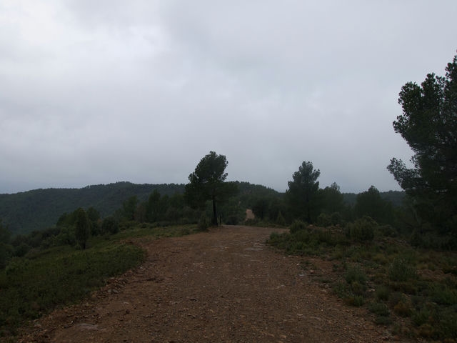 Pista