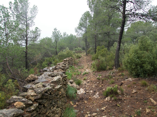 Trincheras
