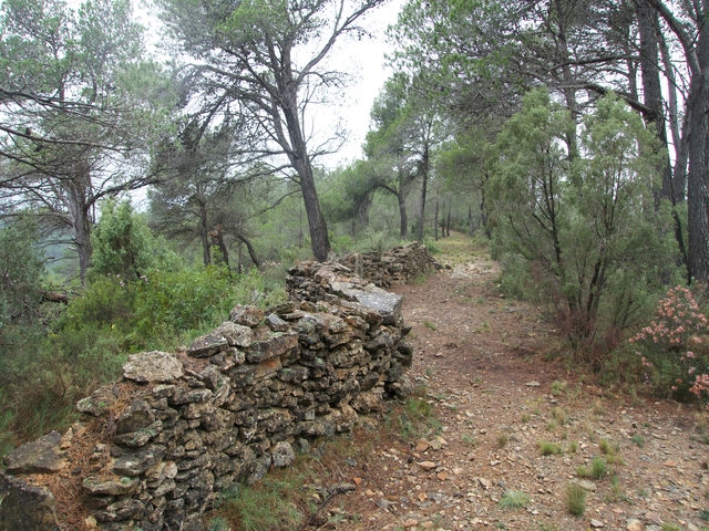 Trincheras