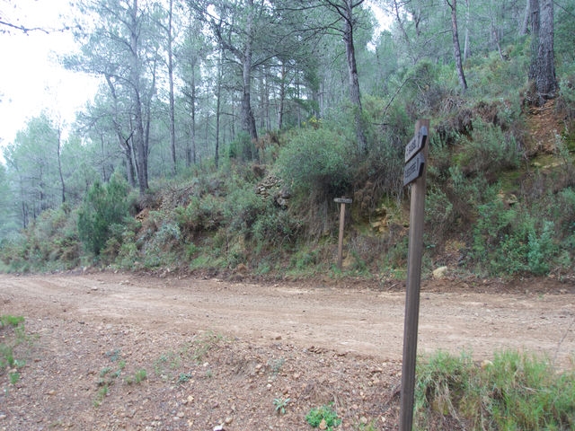 Salimos a Pista