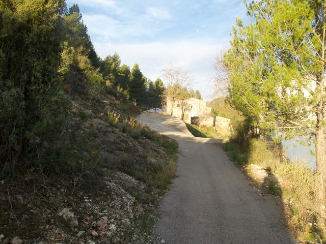Callejeando