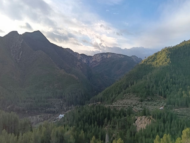 Vistas