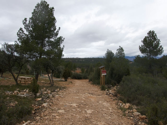 Camino