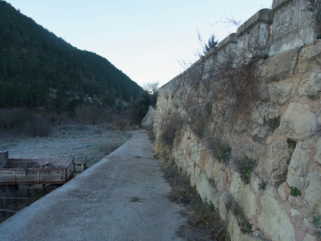 Camino