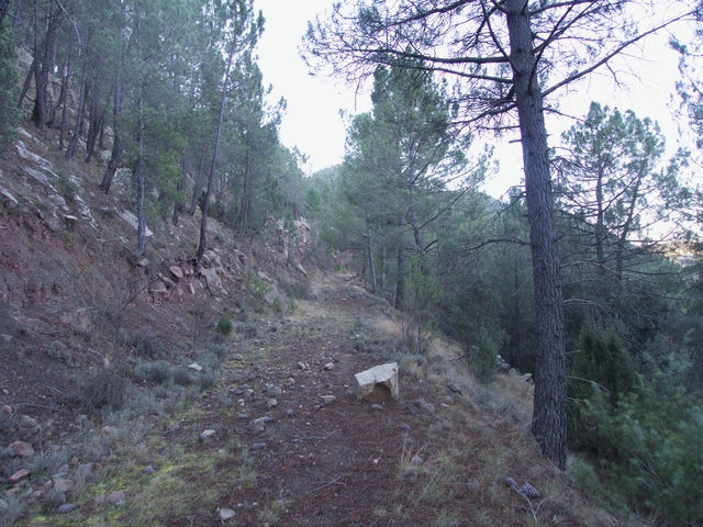 Pista