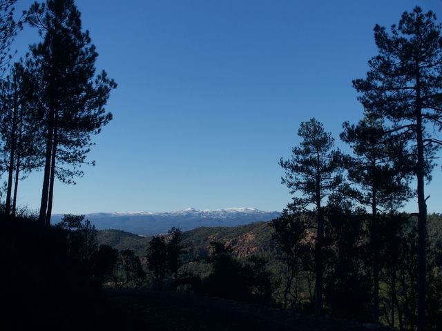Vistas