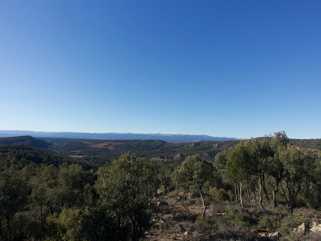 Vistas