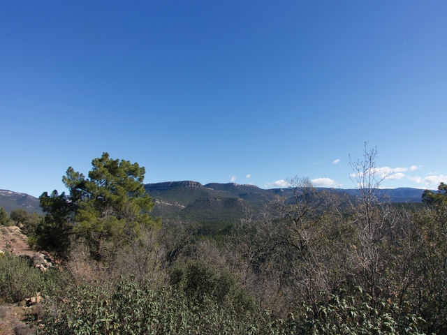 Vistas