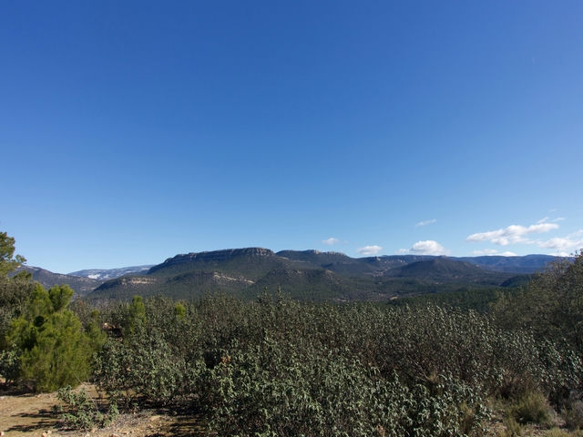 Vistas