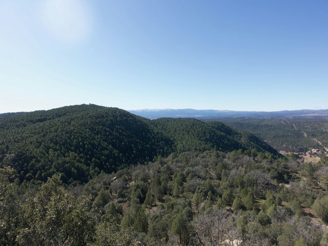 Vistas