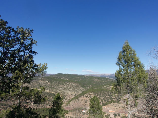 Vistas