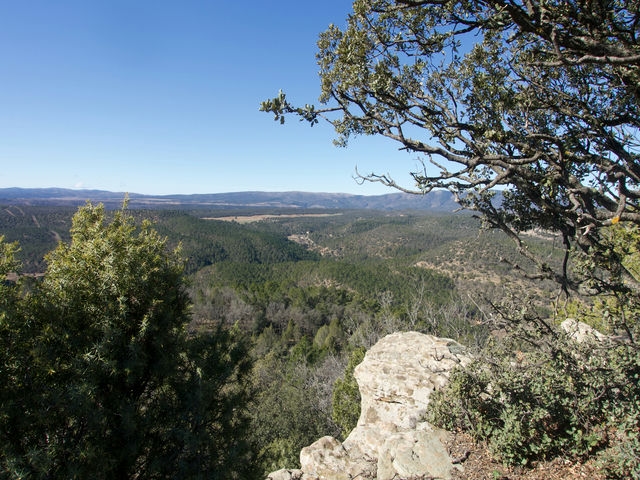 Vistas