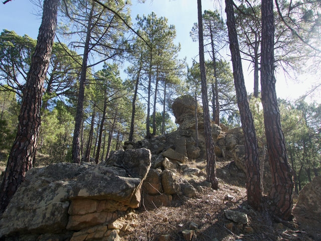Rocas