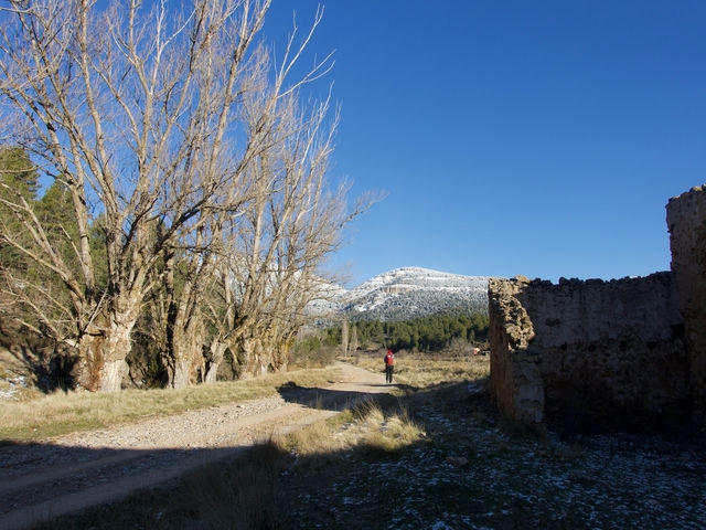 Camino
