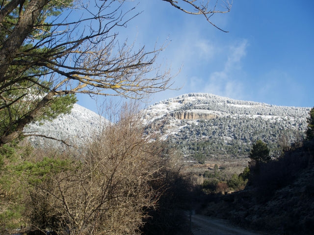 Vistas