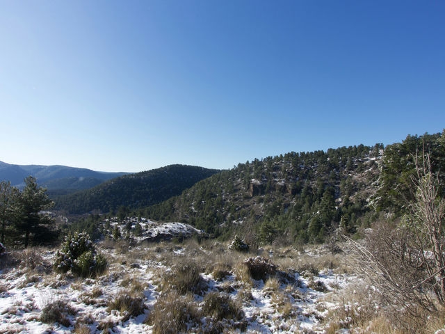 Vistas