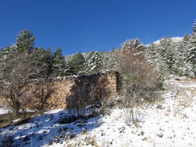 Corral