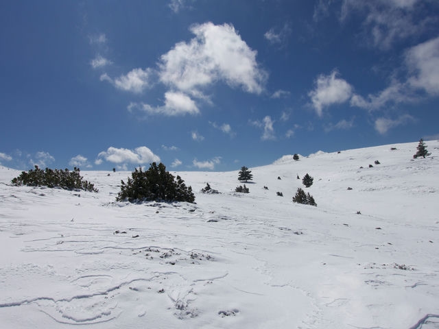 Subiendo