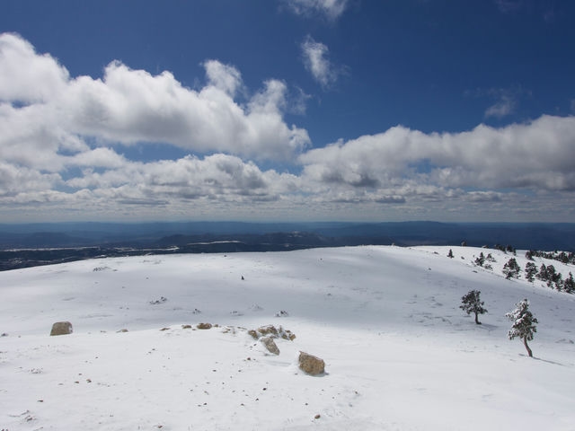 Vistas