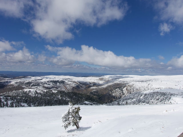 Vistas