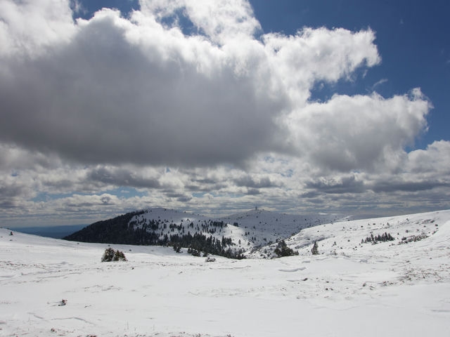 Vistas