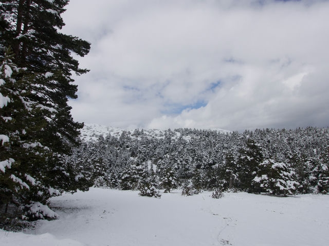 Vistas