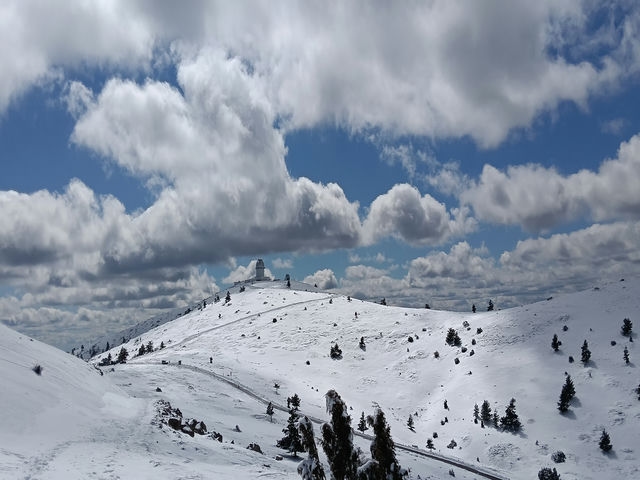 Vistas