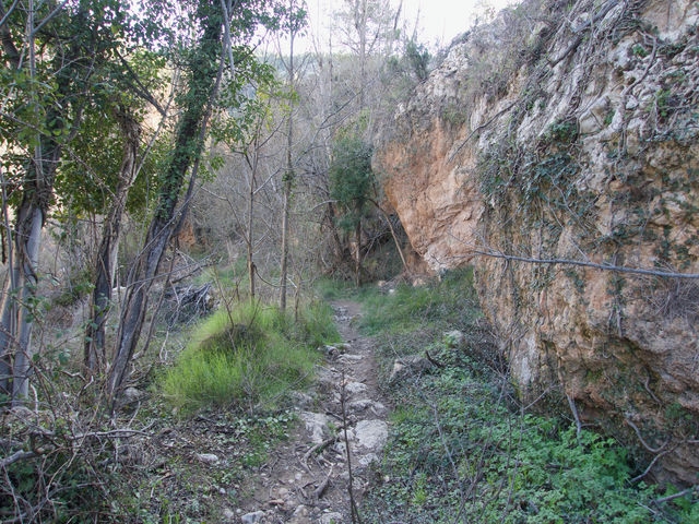 Senda