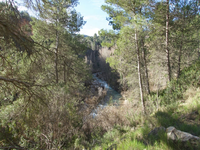 Vistas