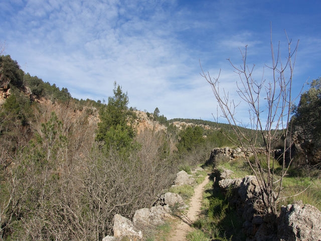 Senda