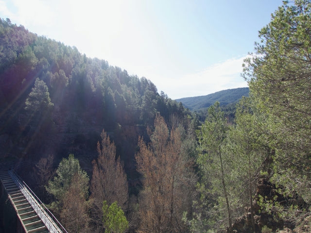 Vistas