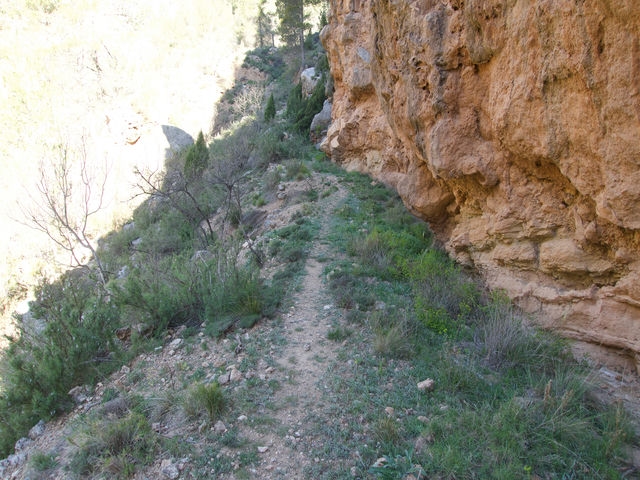 Senda