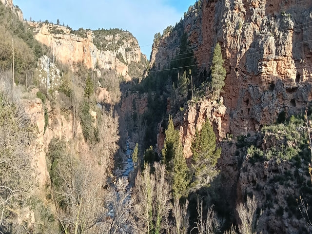 Vistas