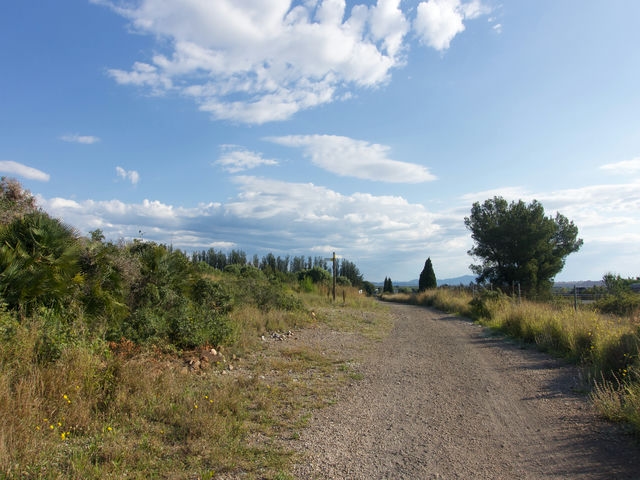 Camino