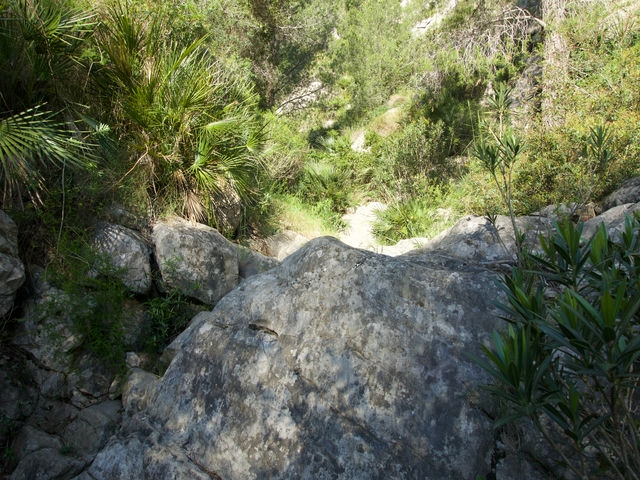 Barranco