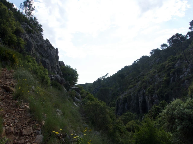 Vistas