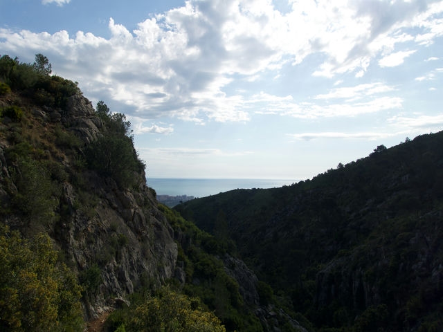 Vistas