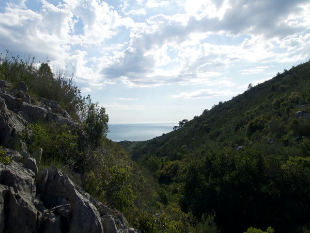 Vistas
