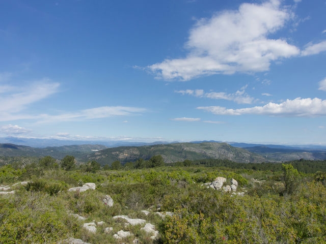 Vistas