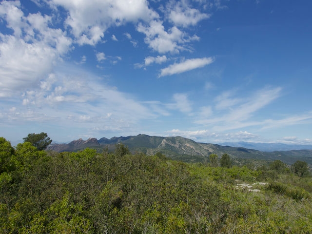 Vistas
