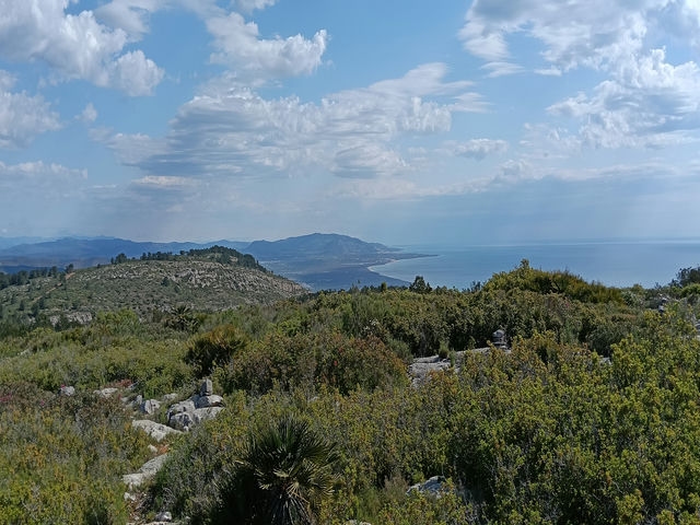 Vistas