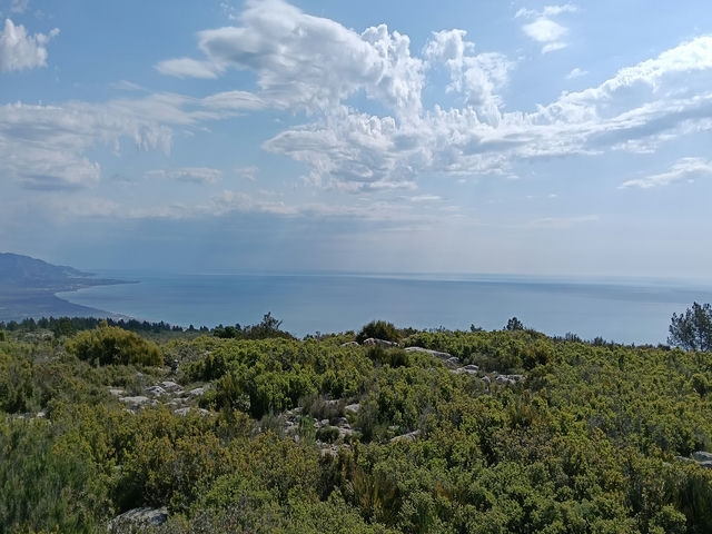 Vistas