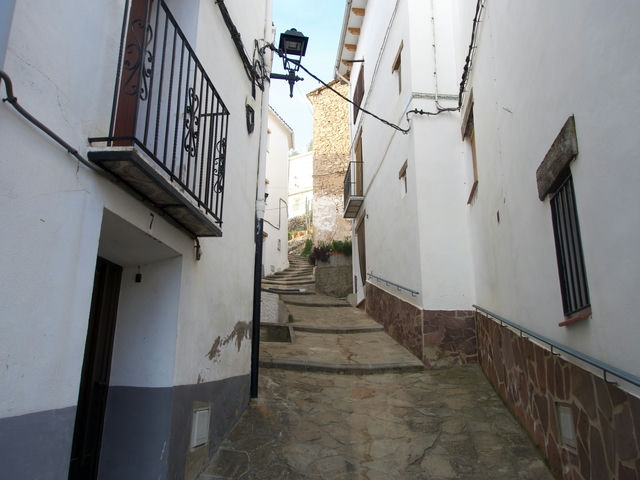 Callejeando