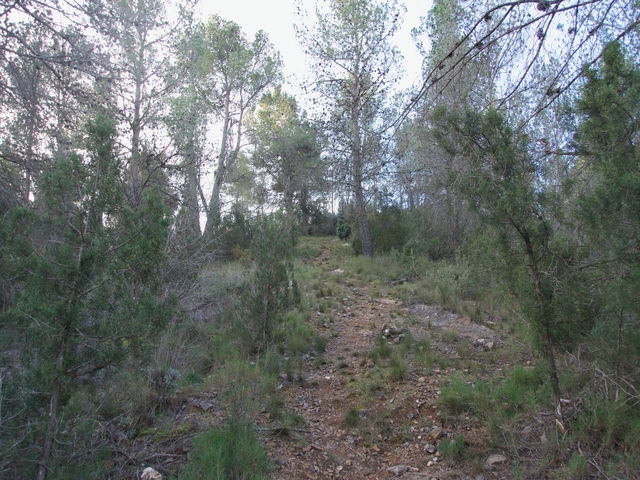Senda