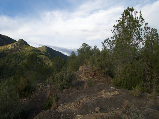 Cima