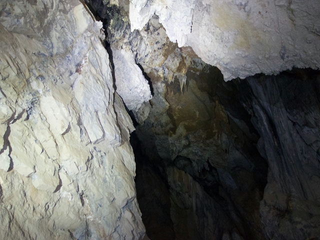 Cueva