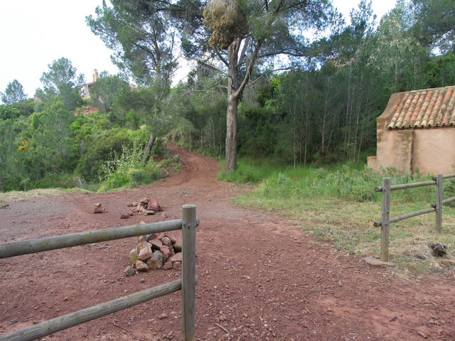 Collado