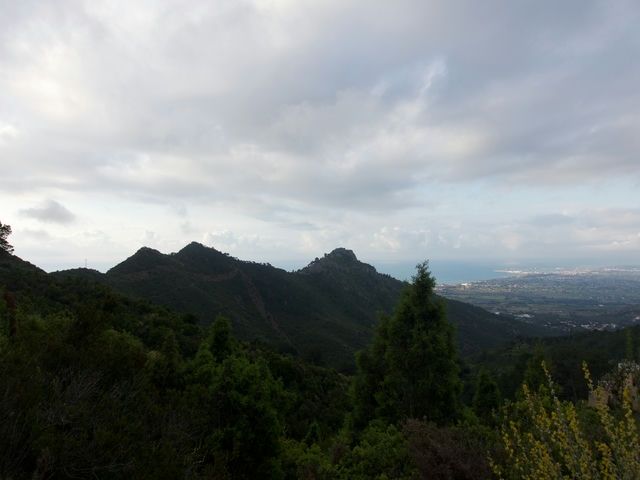 Vistas