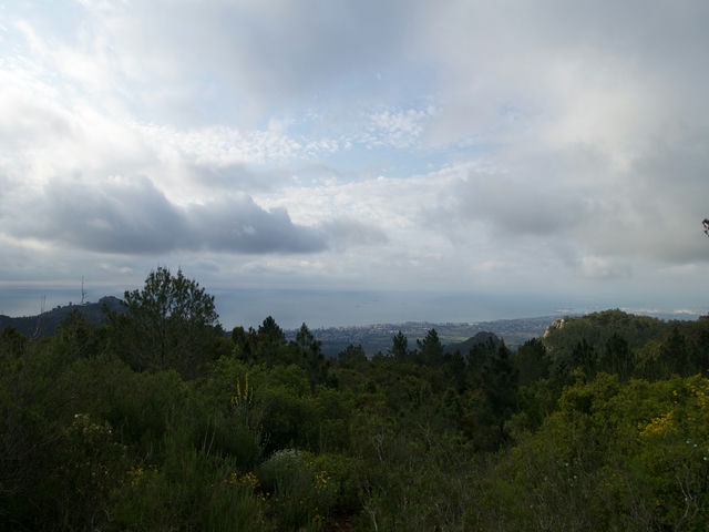 Vistas
