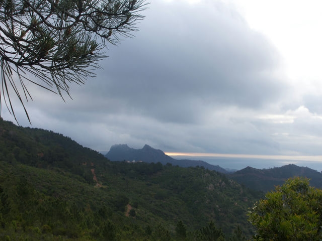 Vistas